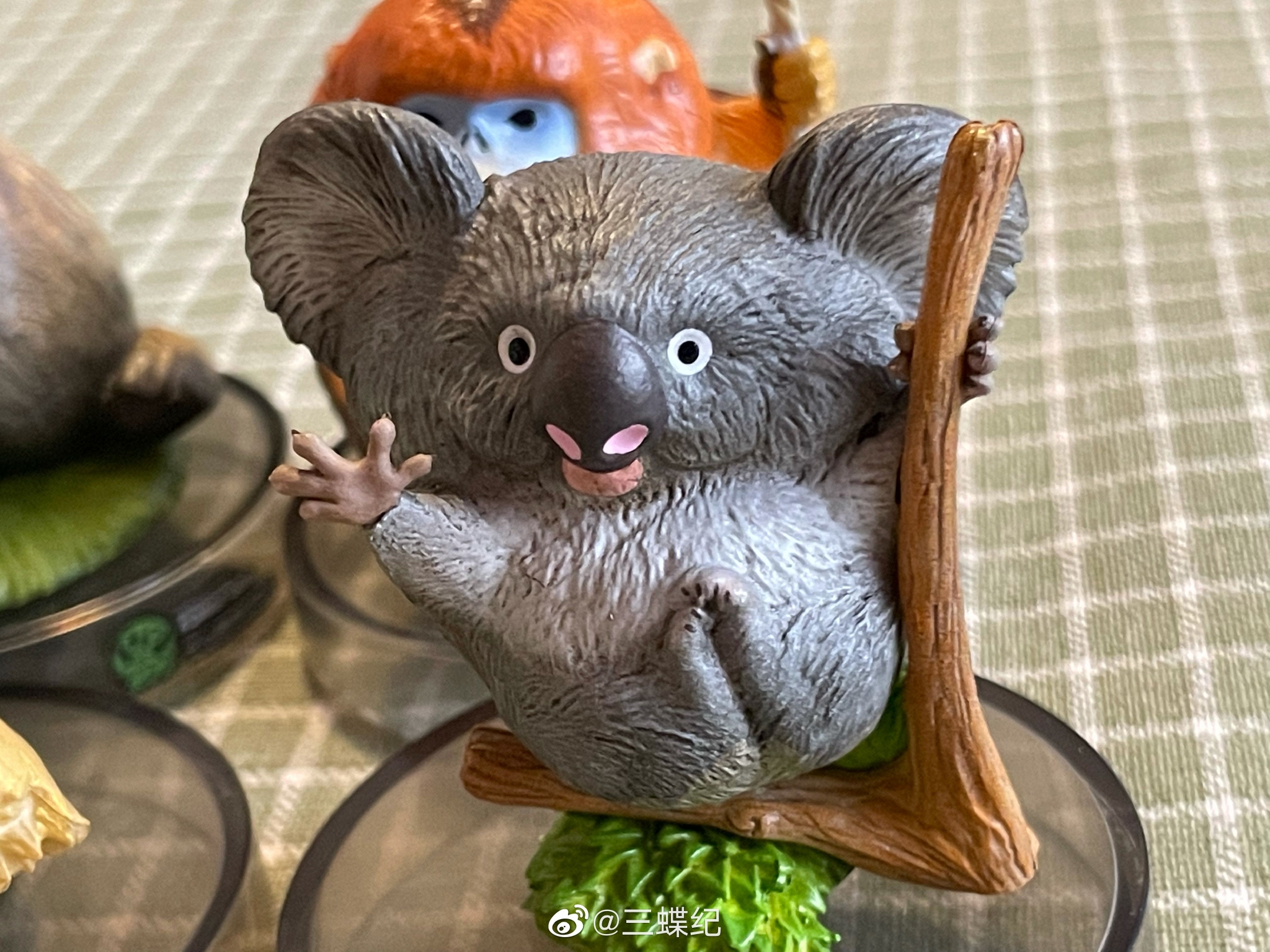 谢谢@动物星球ap 谢谢动物星球寄赠心宽体胖系列……__财经头条