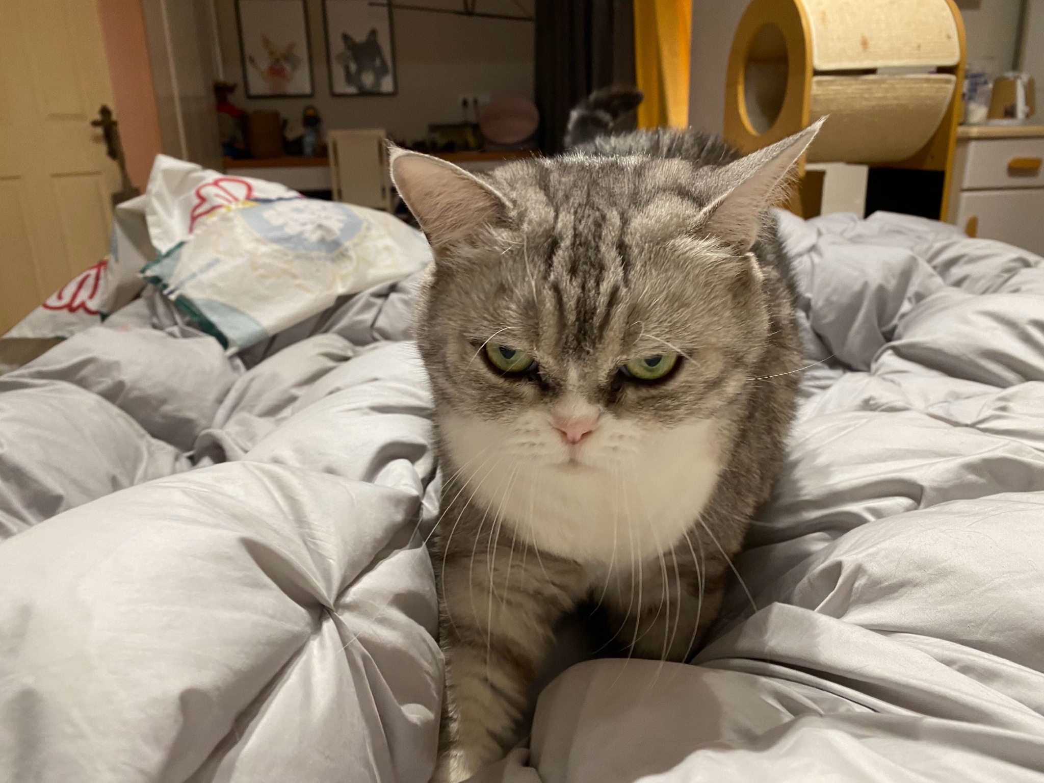 大年初三睡到饱,结果平时最爱赖床的大头七点多就起来了__财经头条