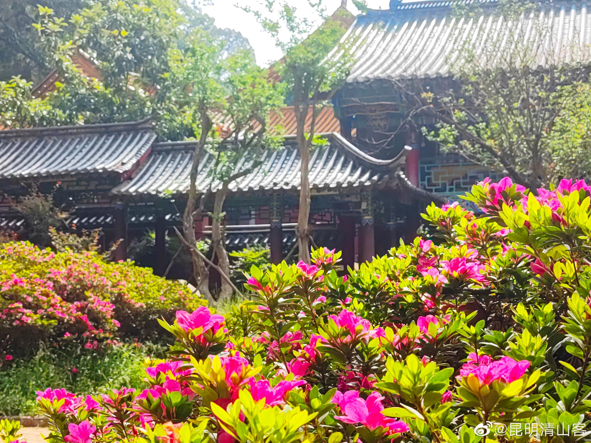 昆明黑龙潭公园