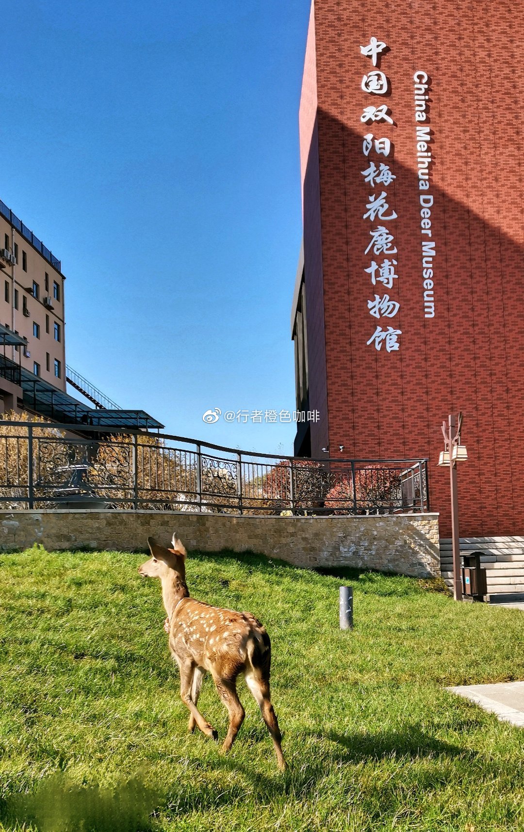 中国双阳梅花鹿博物馆