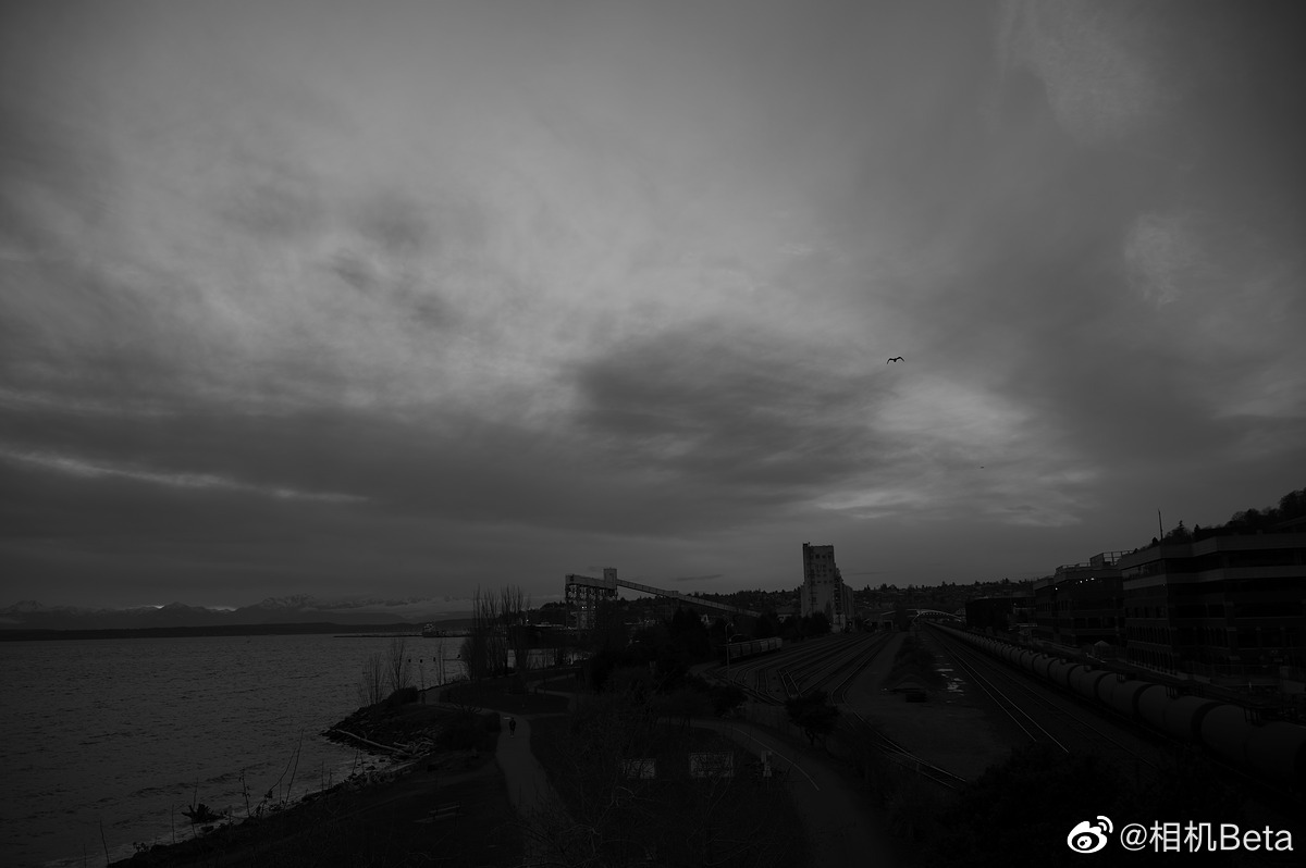  Leica M11 Monochrom 