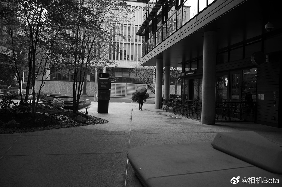  Leica M11 Monochrom 
