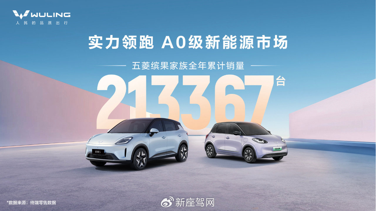 缤果家族2025全年热销213367辆,为用户提供缤纷代步新选择-新浪汽车
