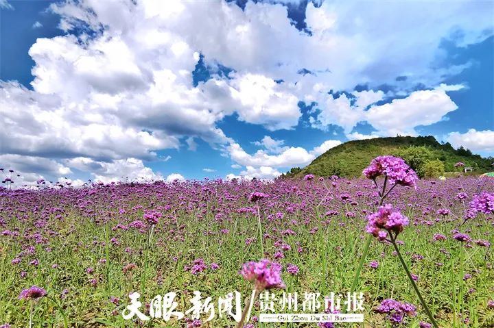 中秋假期，1110万人次游贵州，旅游收入超55亿元休闲区蓝鸢梦想 - Www.slyday.coM