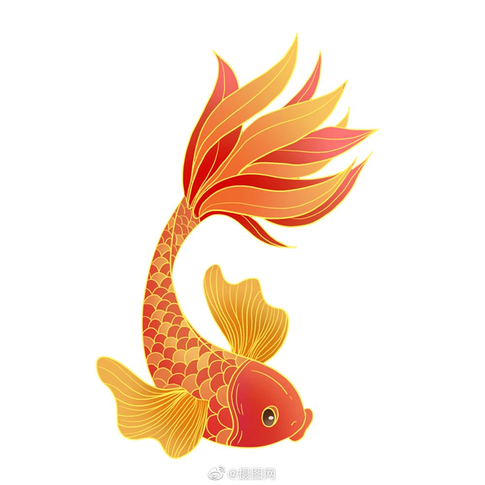 免抠素材|中国风锦鲤手绘插画,转发得好运!