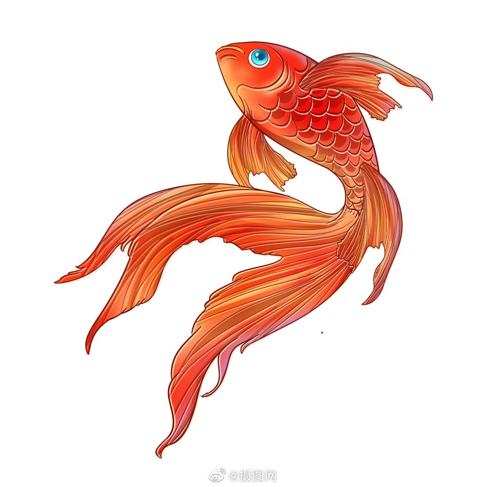 免抠素材|中国风锦鲤手绘插画,转发得好运!