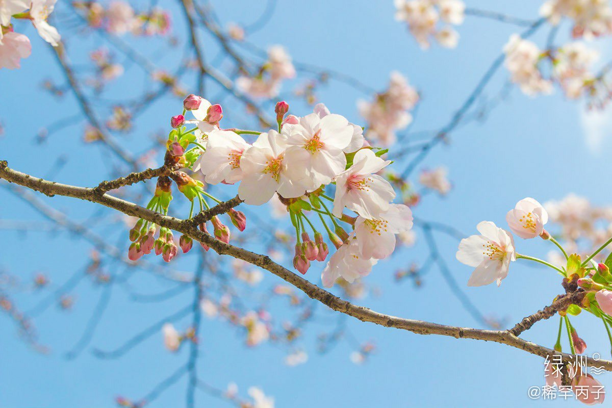 春天是一切美好事物的开始. 春天里_高清图集_新浪网