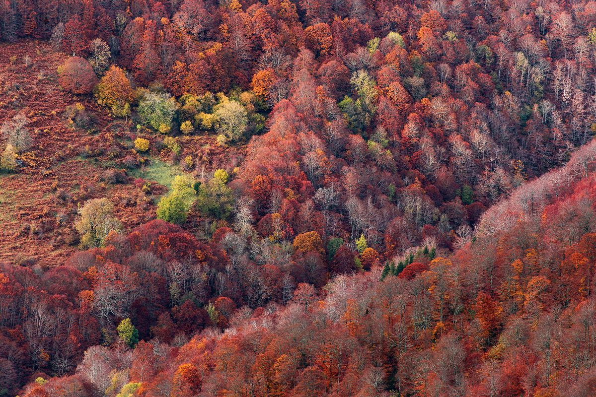位于法国中南部的中央高原是欧洲最大的层状火山地块