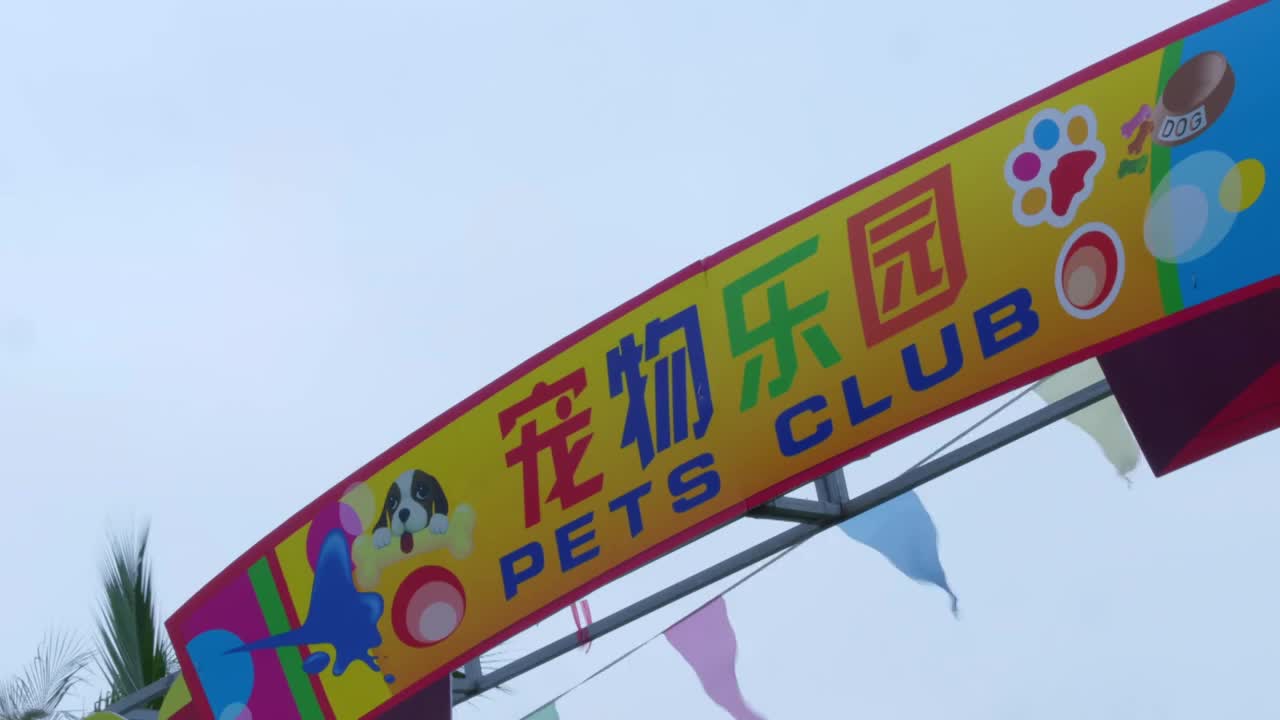 神犬小七大圣对饭桶叫两声竟遭到全体人员斥责简直不能更无辜