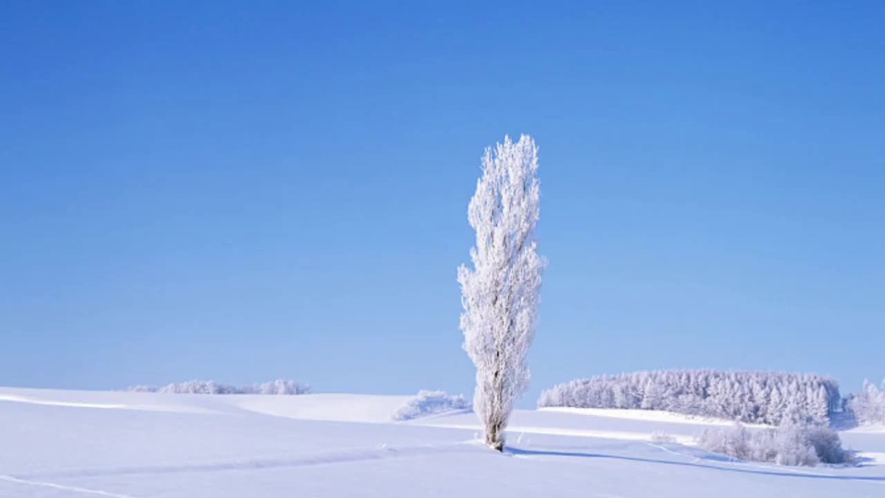 高原情歌广场舞《雪山阿佳》飘着长长的发,轻轻的走来了!__财经头条