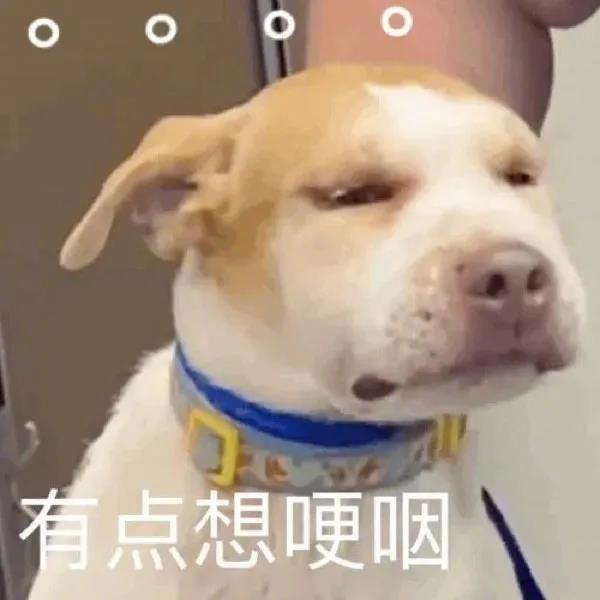 表情包 | 你是畜生也不行__财经头条