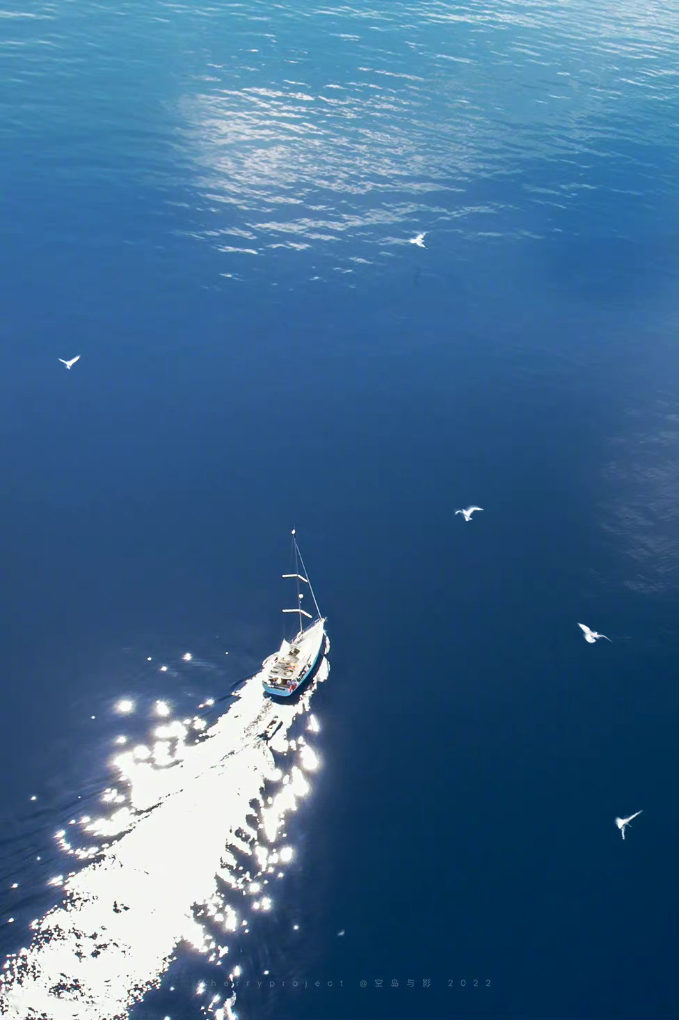 想买全景天幕的车