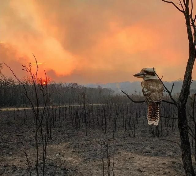 2020年索尼世界摄影大赛获奖作品欣赏2位中国摄影师获奖