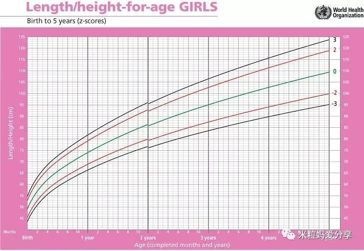 团林seo搜索推广排名