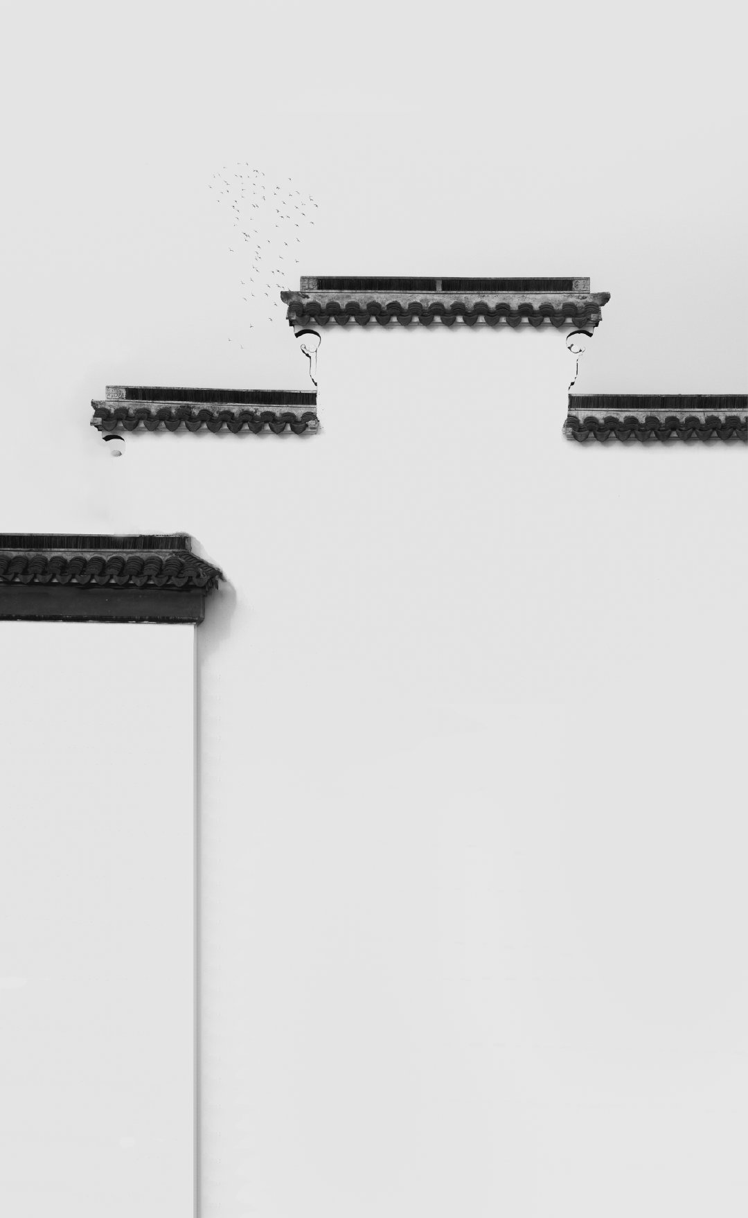 黑瓦白墙的诗意图虫id / 薛巍