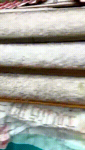 刚刚！泉州下雪了！休闲区蓝鸢梦想 - Www.slyday.coM