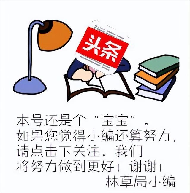 致敬全国林草科技工作者休闲区蓝鸢梦想 - Www.slyday.coM 致敬全国林草科技工作者休闲区蓝鸢梦想 - Www.slyday.coM