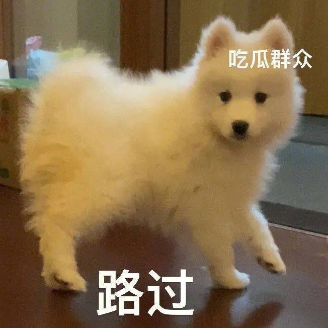 表情包 | 扎心了,老姐! 拿图点赞、吱声__财经头条