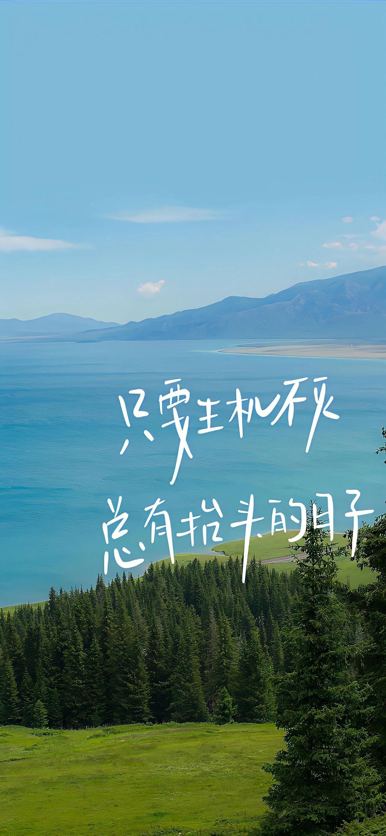 励志文字壁纸引发网络共鸣