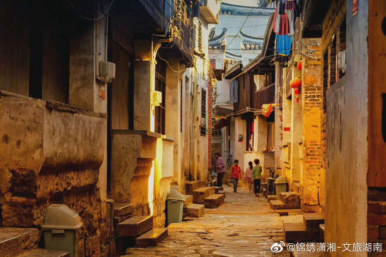 北京茶楼信息网论坛：新手必看的喝茶指南