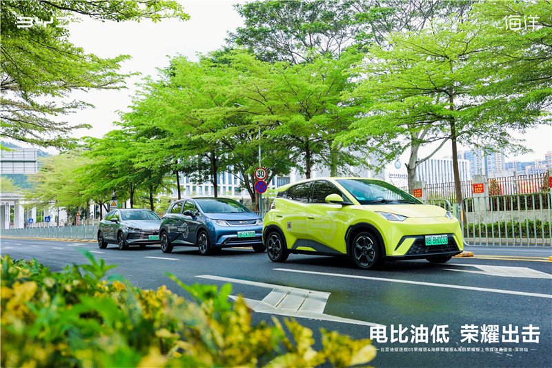 比亚迪海洋网荣耀版深圳三车齐发-新浪汽车