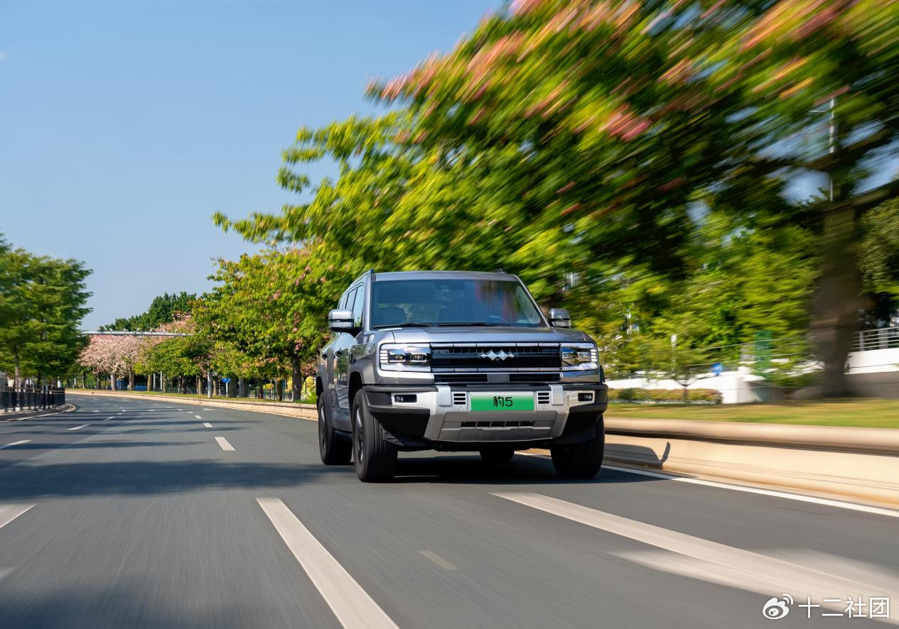 直降5万，不到24万起售！技术平权下的豹5应该怎么选？