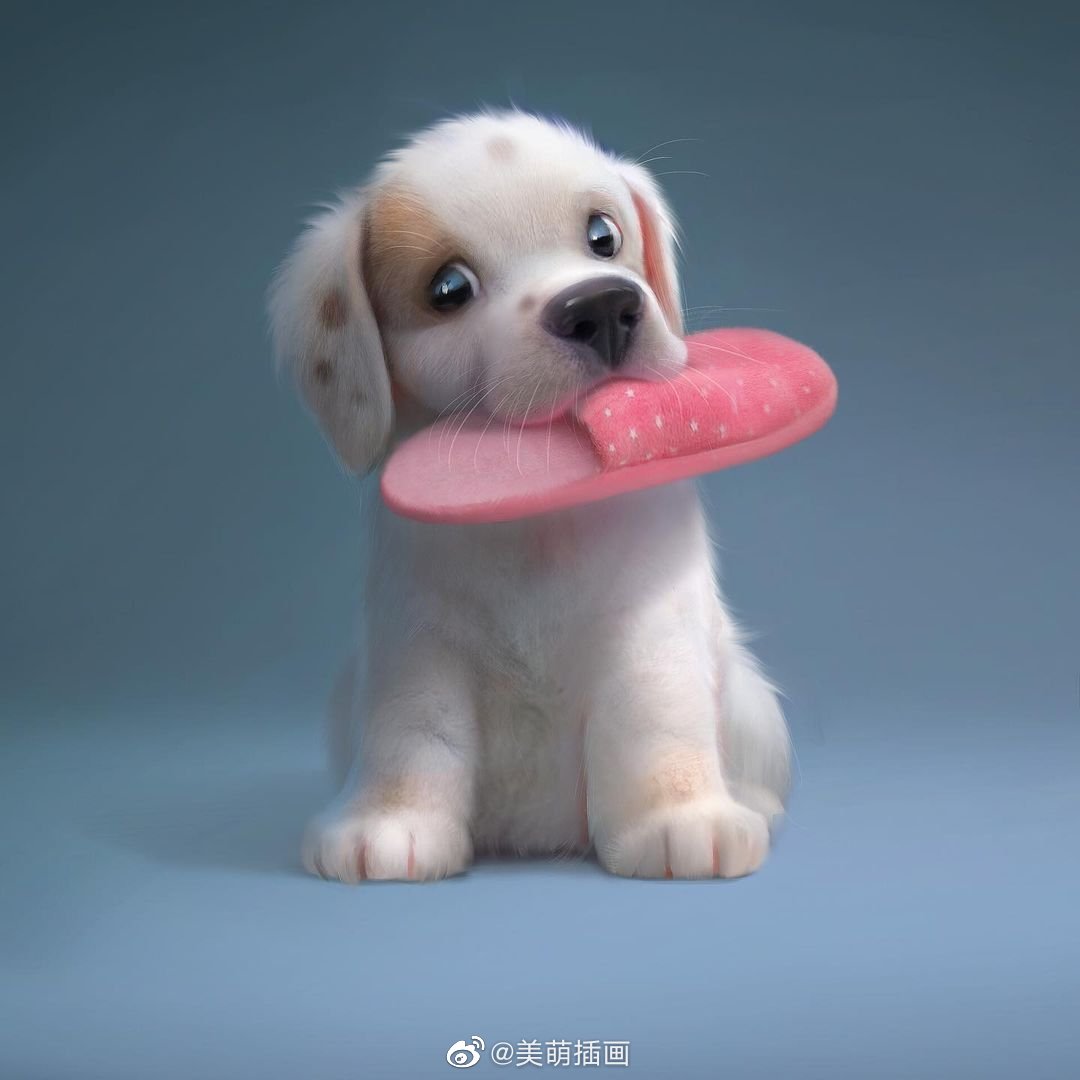 可爱的萌物| deema.egorov 这么可爱的动物,你最喜欢哪一个