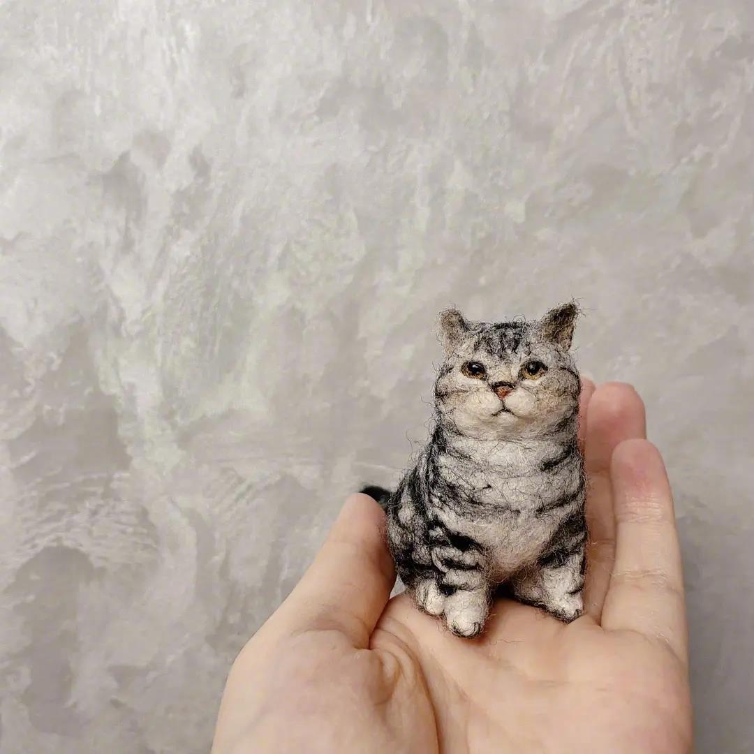 迷你猫咪毛毡,完全是缩小版的小猫咪……_高清图集_新浪网