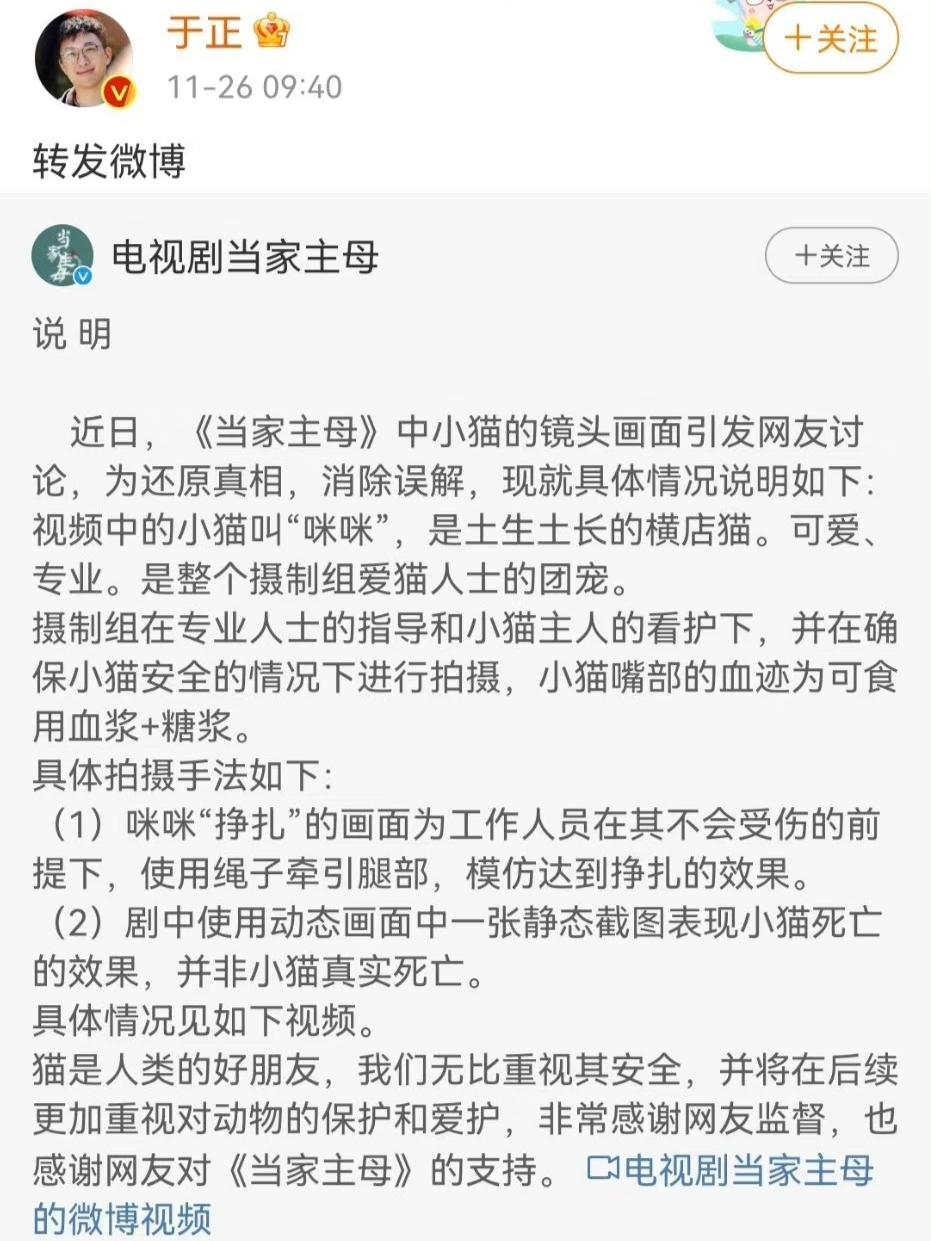 “当家主母猫”上热搜，于正新剧被质疑虐杀动物，网友要求看活猫休闲区蓝鸢梦想 - Www.slyday.coM