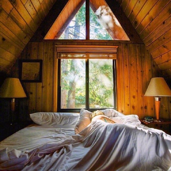 这样的小木屋真的是太棒了
