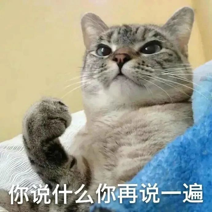 刷到了一组实用表情包耶__财经头条