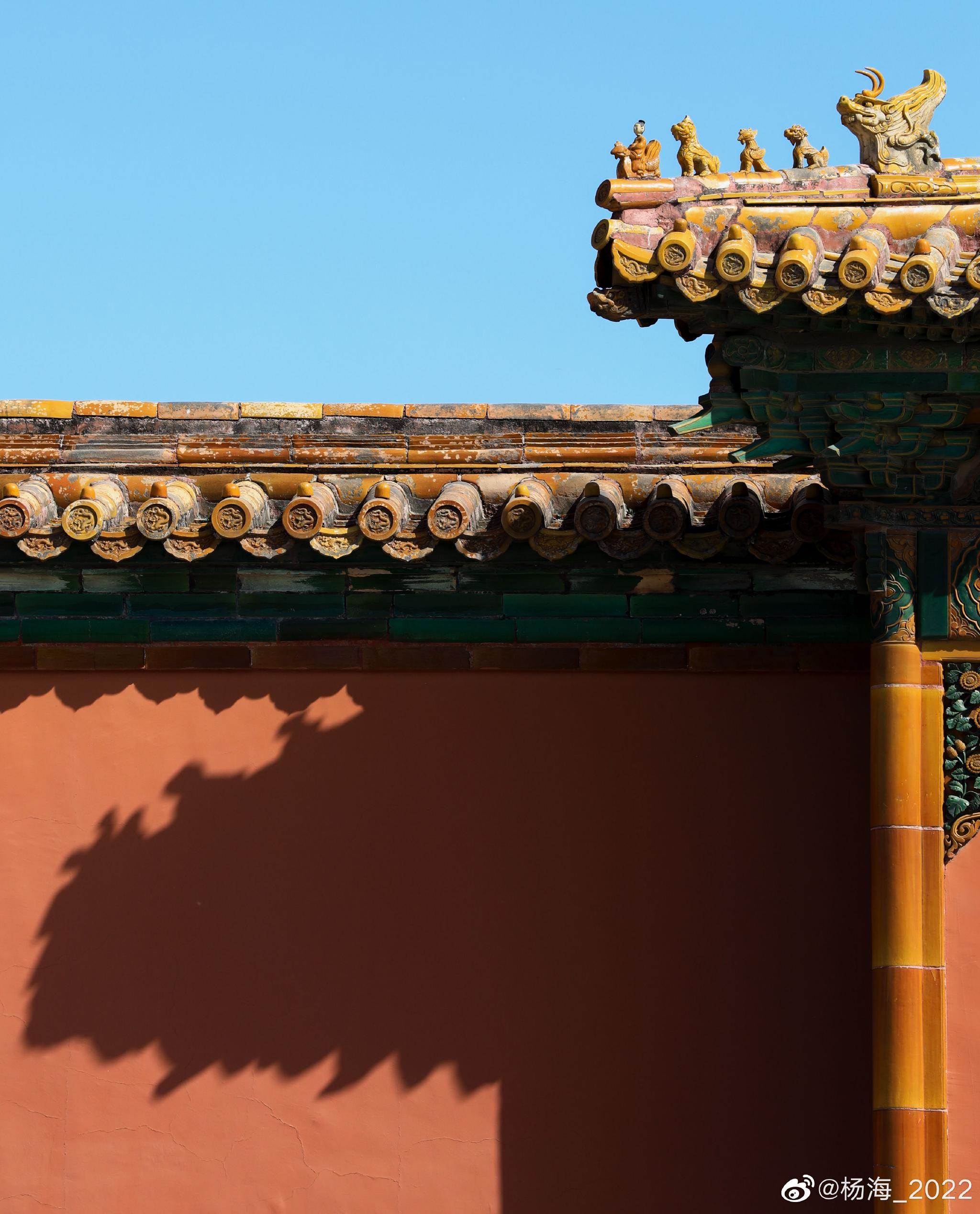 深秋故宫 红墙光影摄影