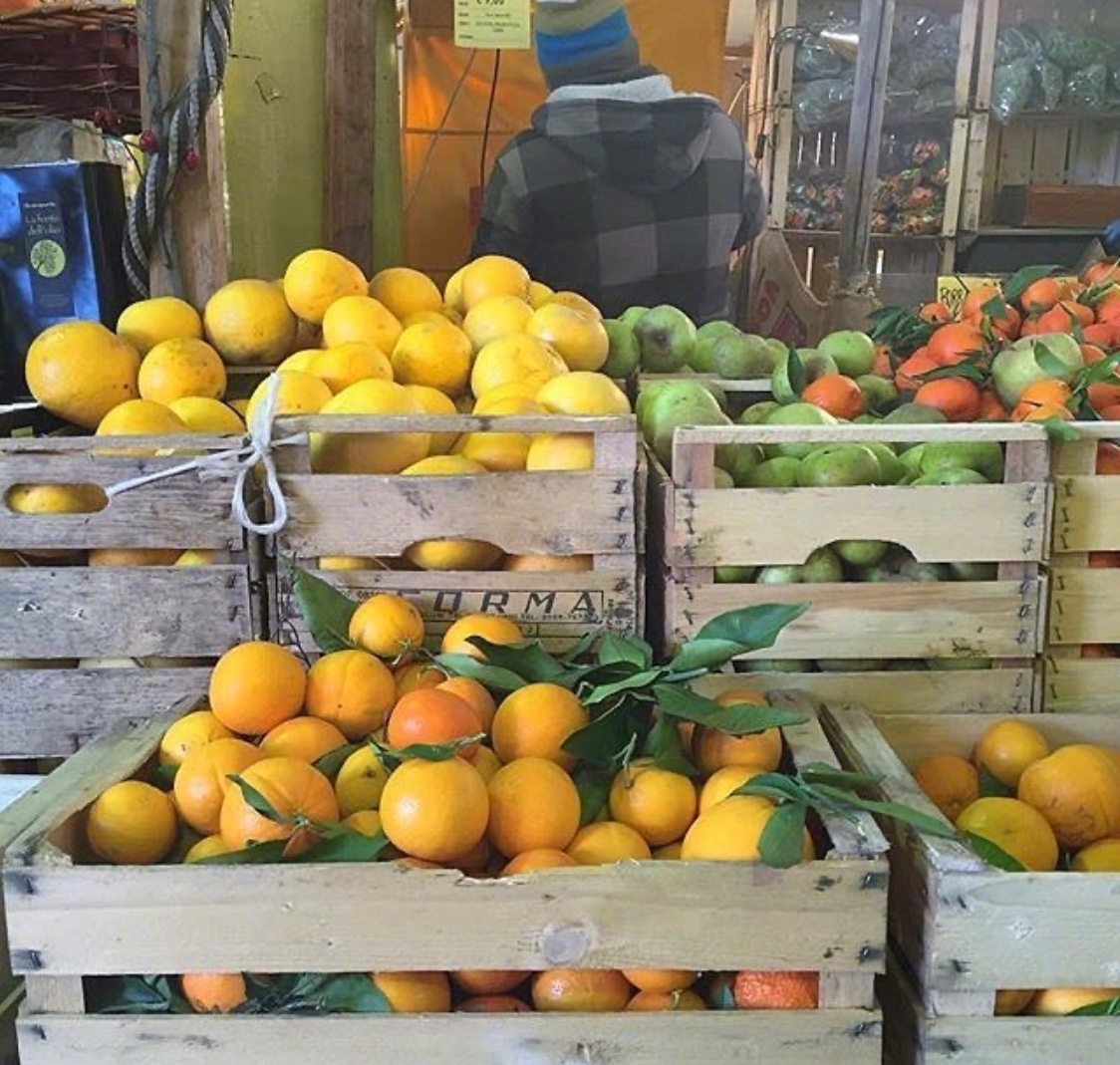 人间理想水果摊 太治愈了叭