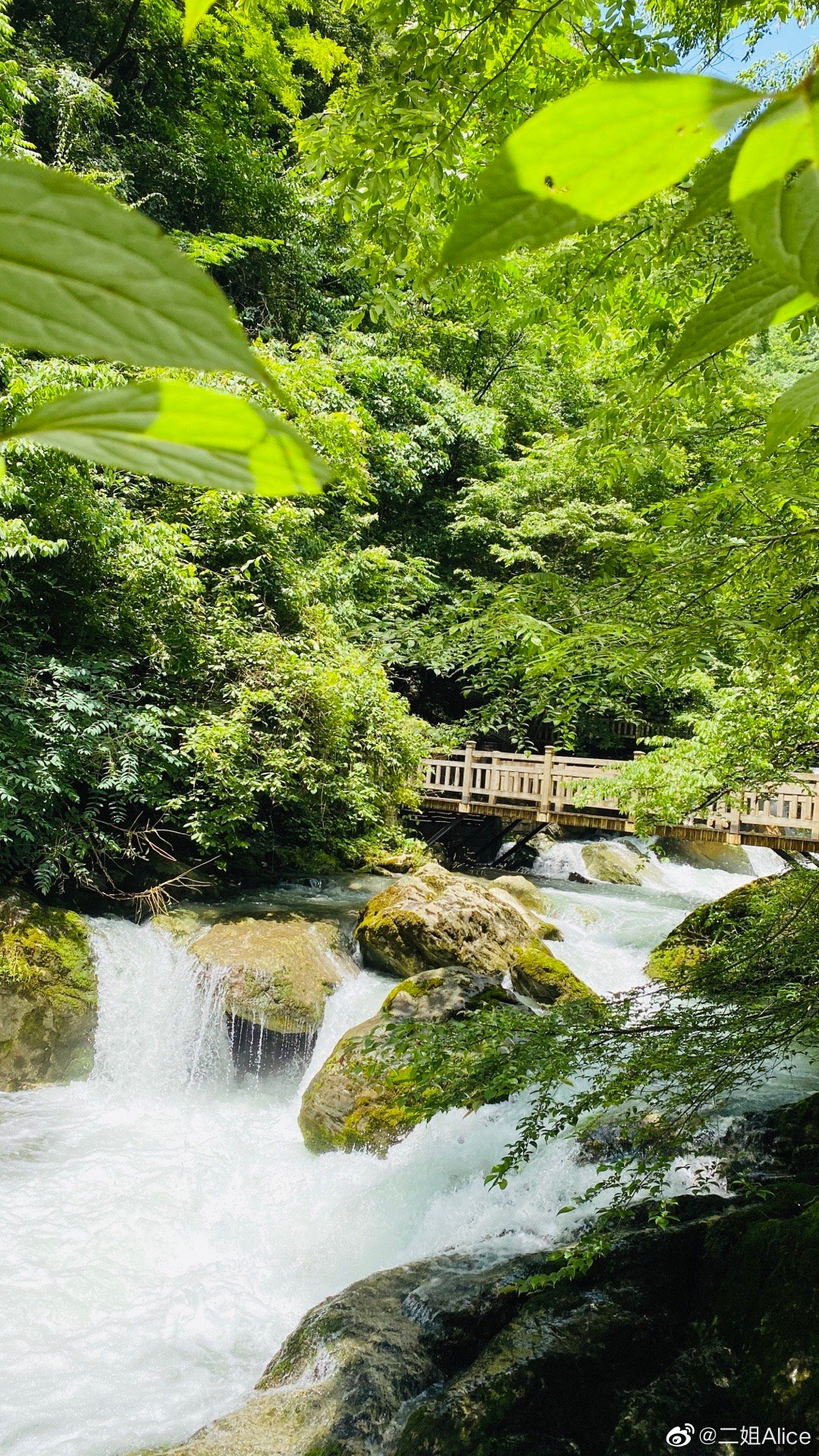 天气非常好特别凉快
