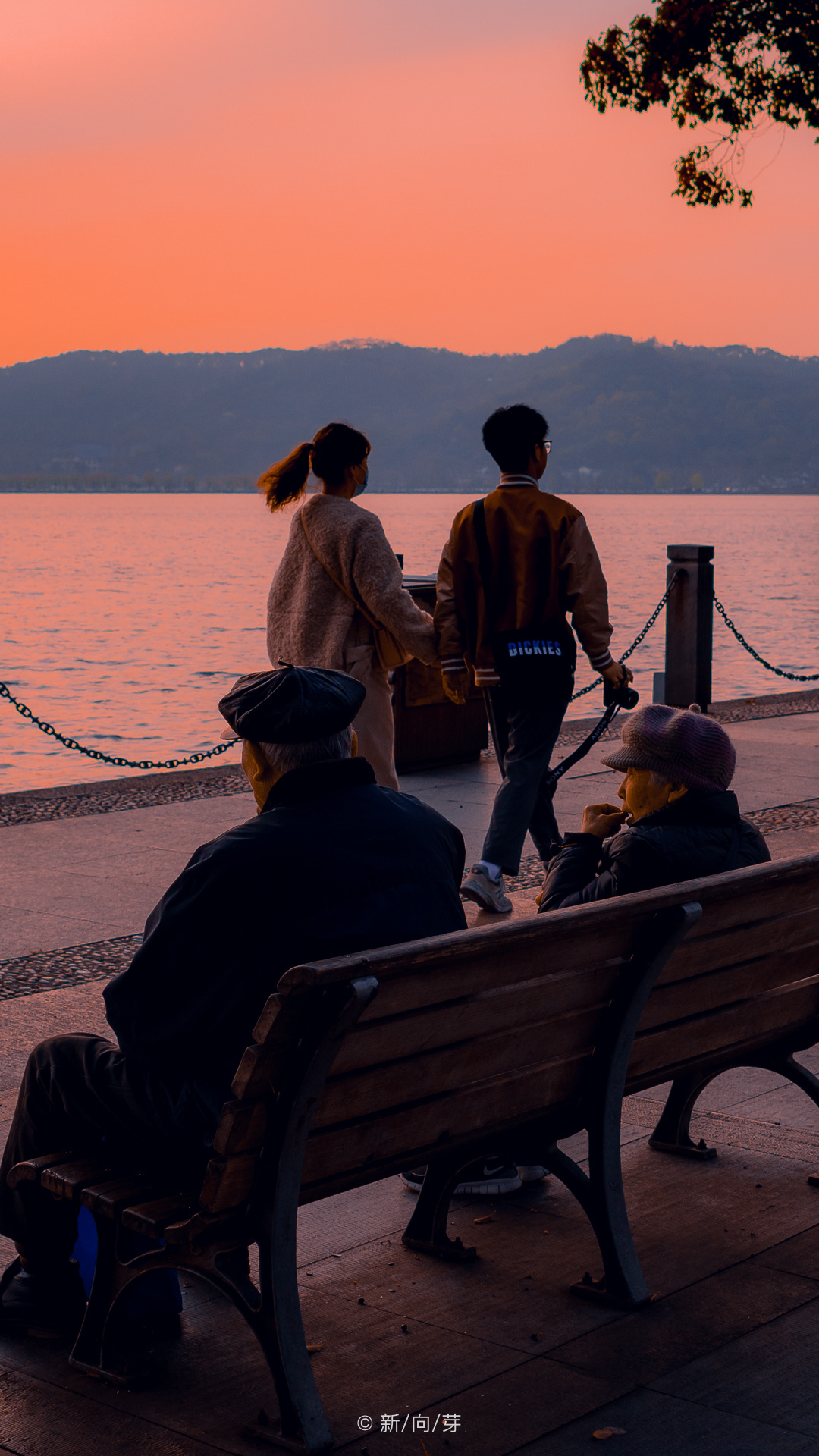 猜剧小技巧大放送 最全电视剧线索指南