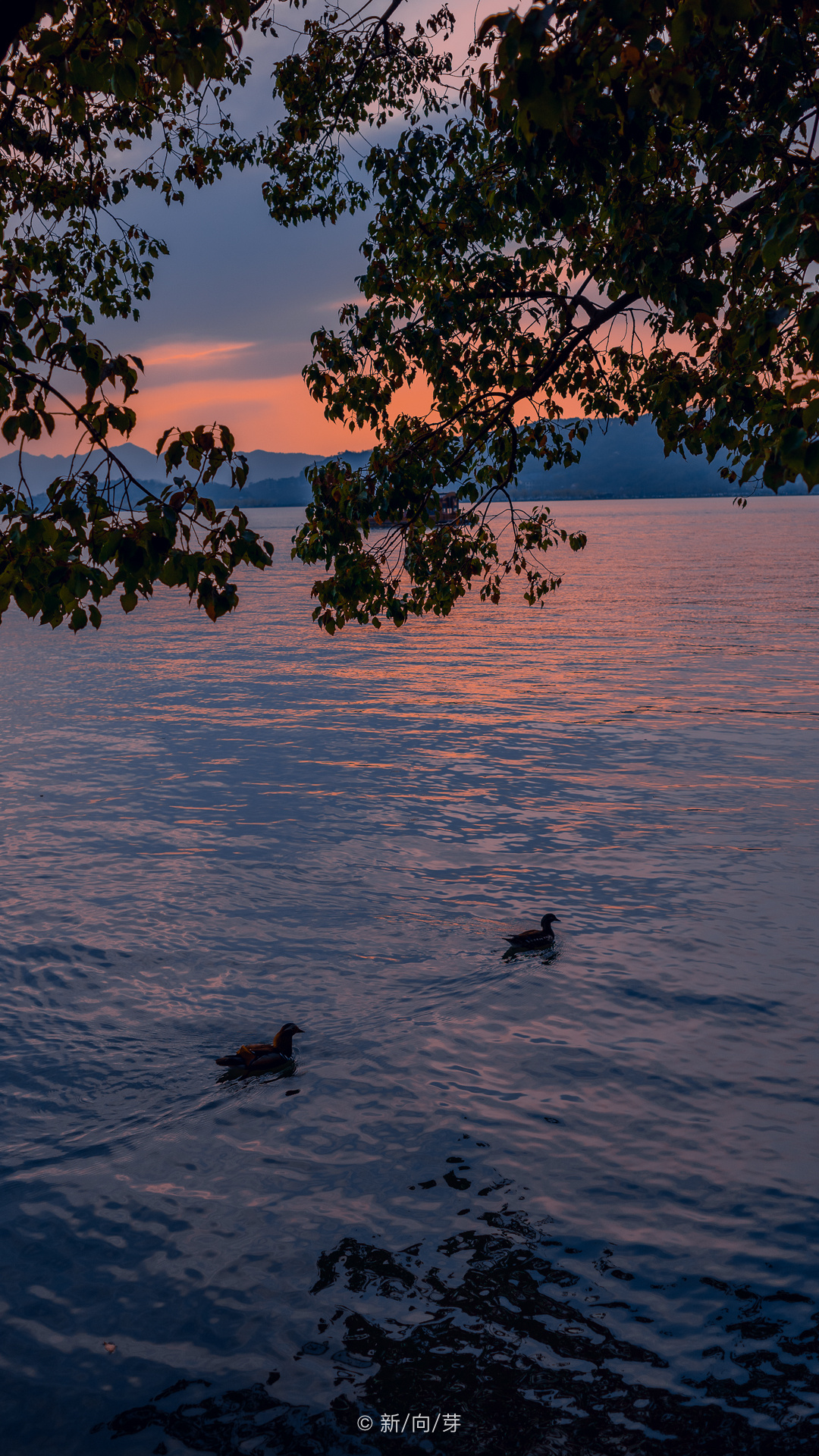 请根据以下线索提示猜电视剧？