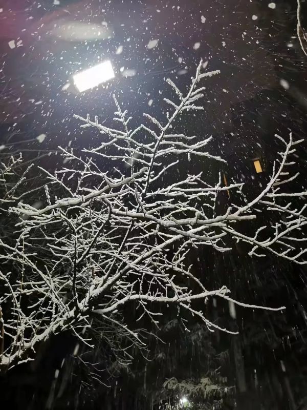 随手一拍都是大片！你的朋友圈办摄影大赛了吗～雪后出行要注意休闲区蓝鸢梦想 - Www.slyday.coM