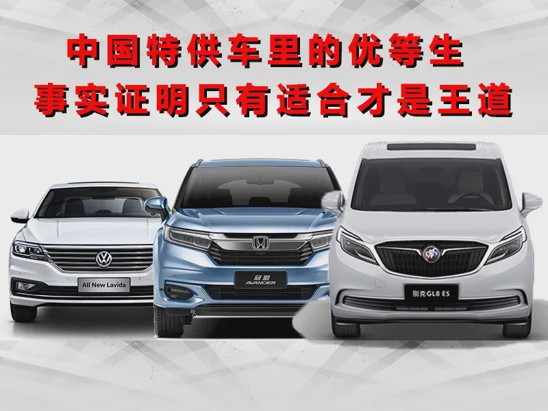 适合才是生存之道！盘点特供车里的优等生
