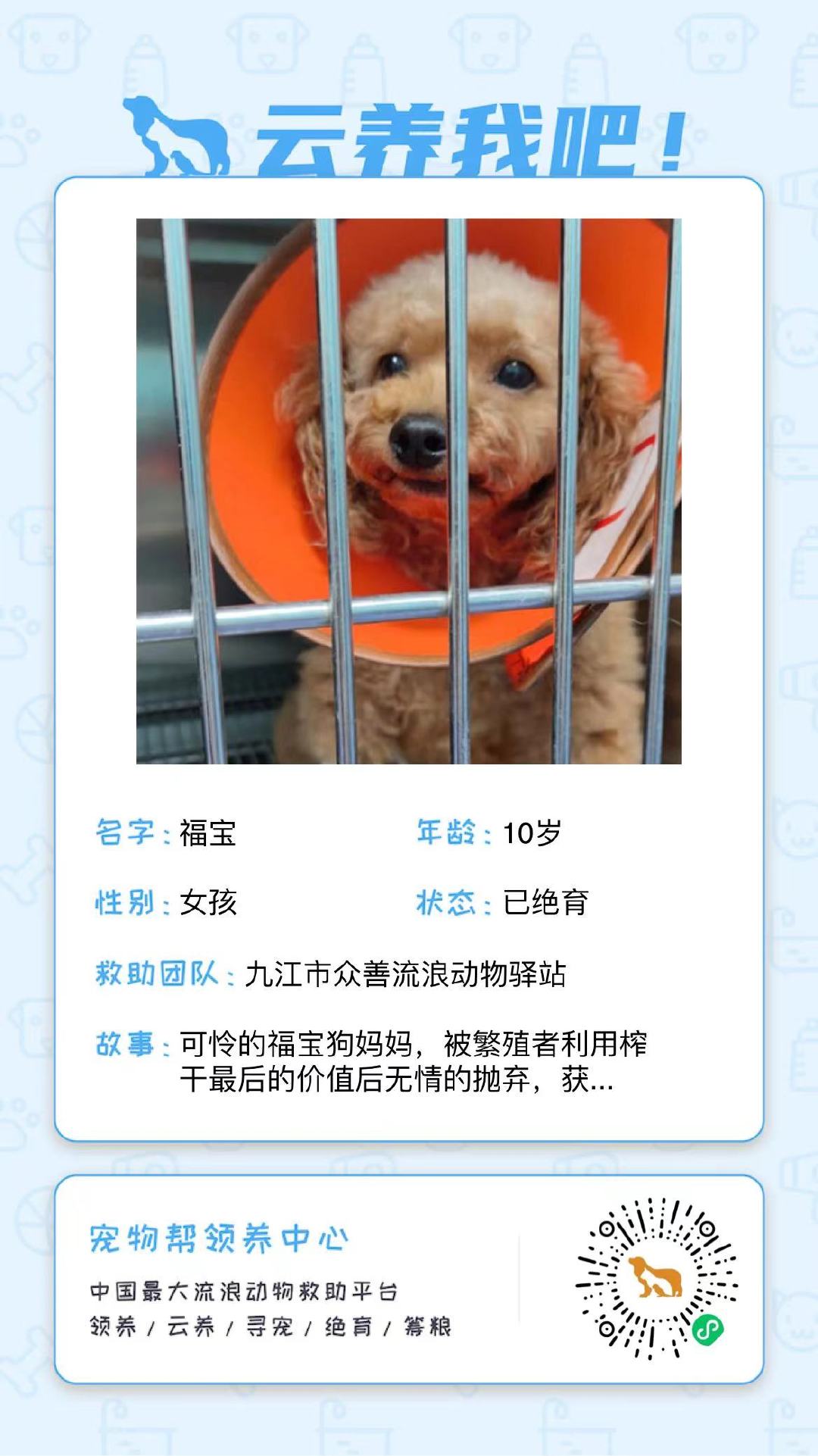 狗狗紧跟好心人进超市,找主人无果,才发现竟是被榨干的繁殖犬!休闲区蓝鸢梦想 - Www.slyday.coM 狗狗紧跟好心人进超市,找主人无果,才发现竟是被榨干的繁殖犬!休闲区蓝鸢梦想 - Www.slyday.coM