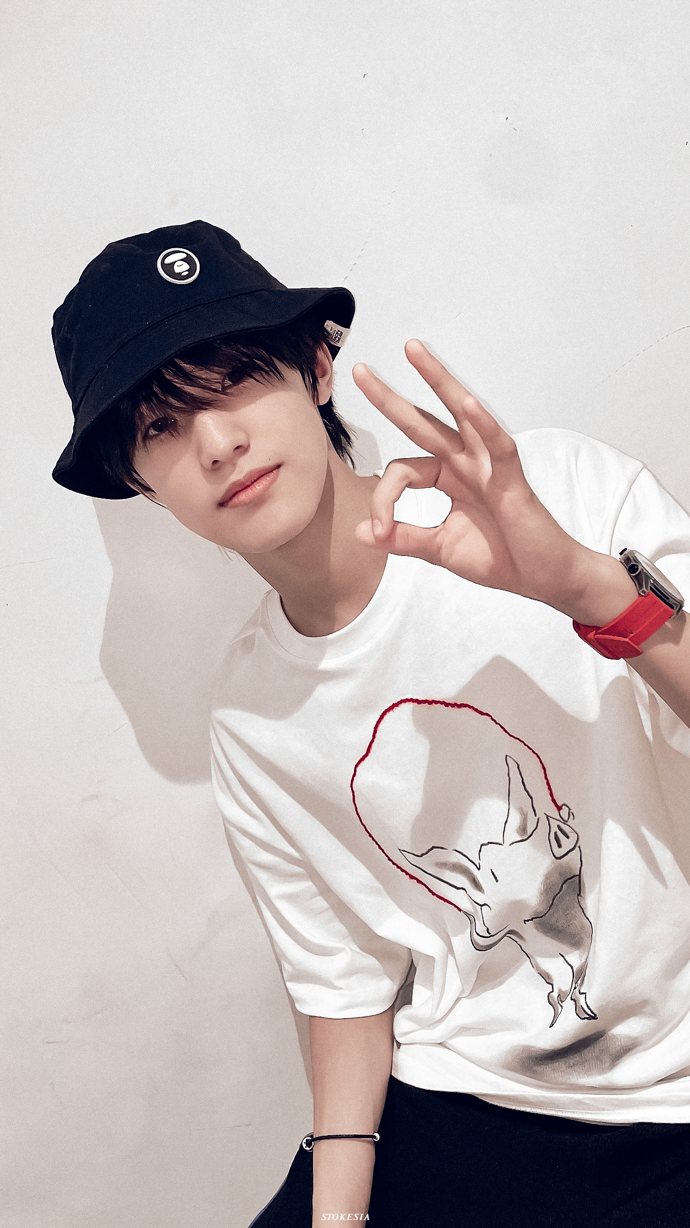 张泽禹丨新鲜的小宝