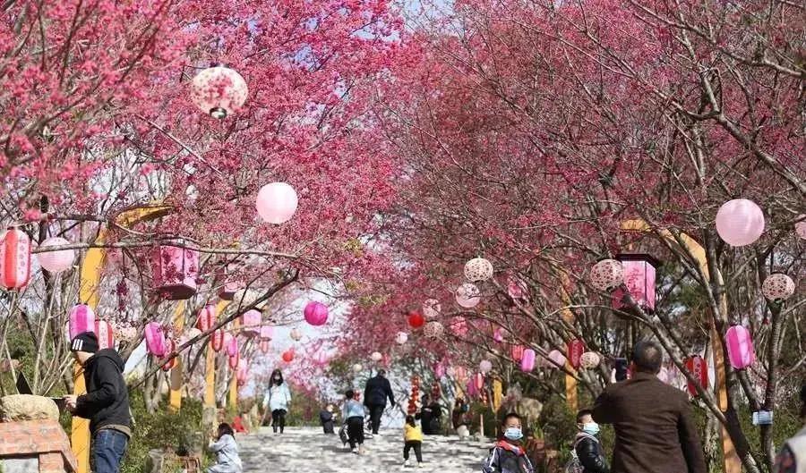 大年初二，开门纳福！“福”文化主题线路，邀您福气满满过大年！休闲区蓝鸢梦想 - Www.slyday.coM
