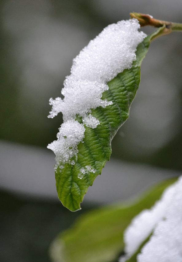 随手一拍都是大片！你的朋友圈办摄影大赛了吗～雪后出行要注意休闲区蓝鸢梦想 - Www.slyday.coM