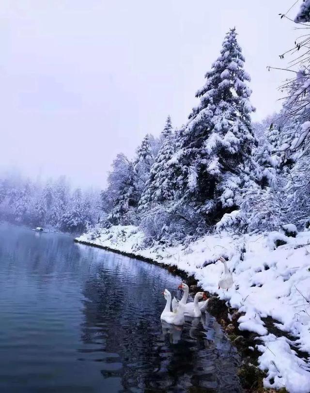 官鹅沟冰与雪的绝美邂逅|冰雪|白雪|动态_新浪新闻
