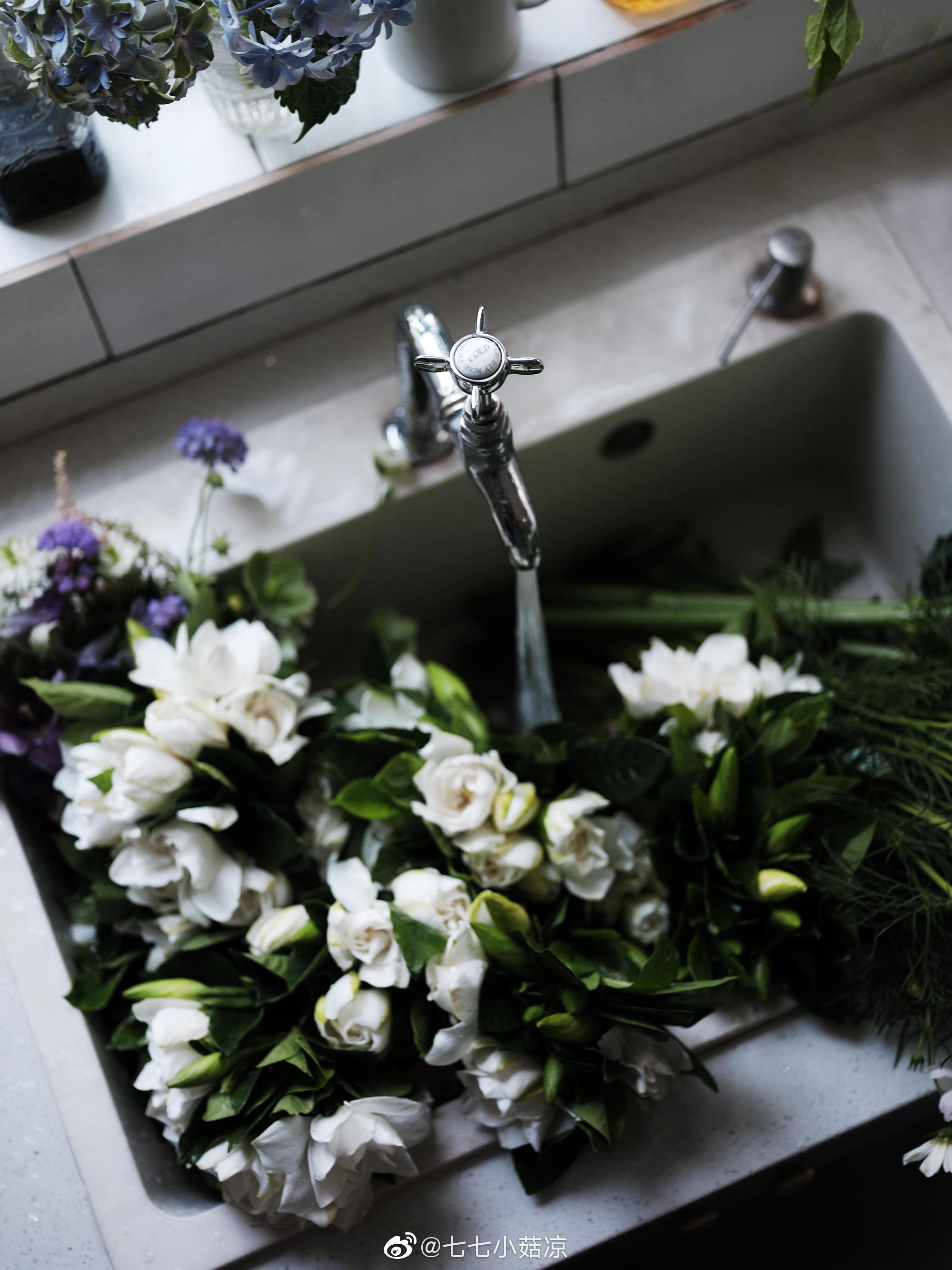 新暑六月 栀香四溢 清晨去花市买上四五扎