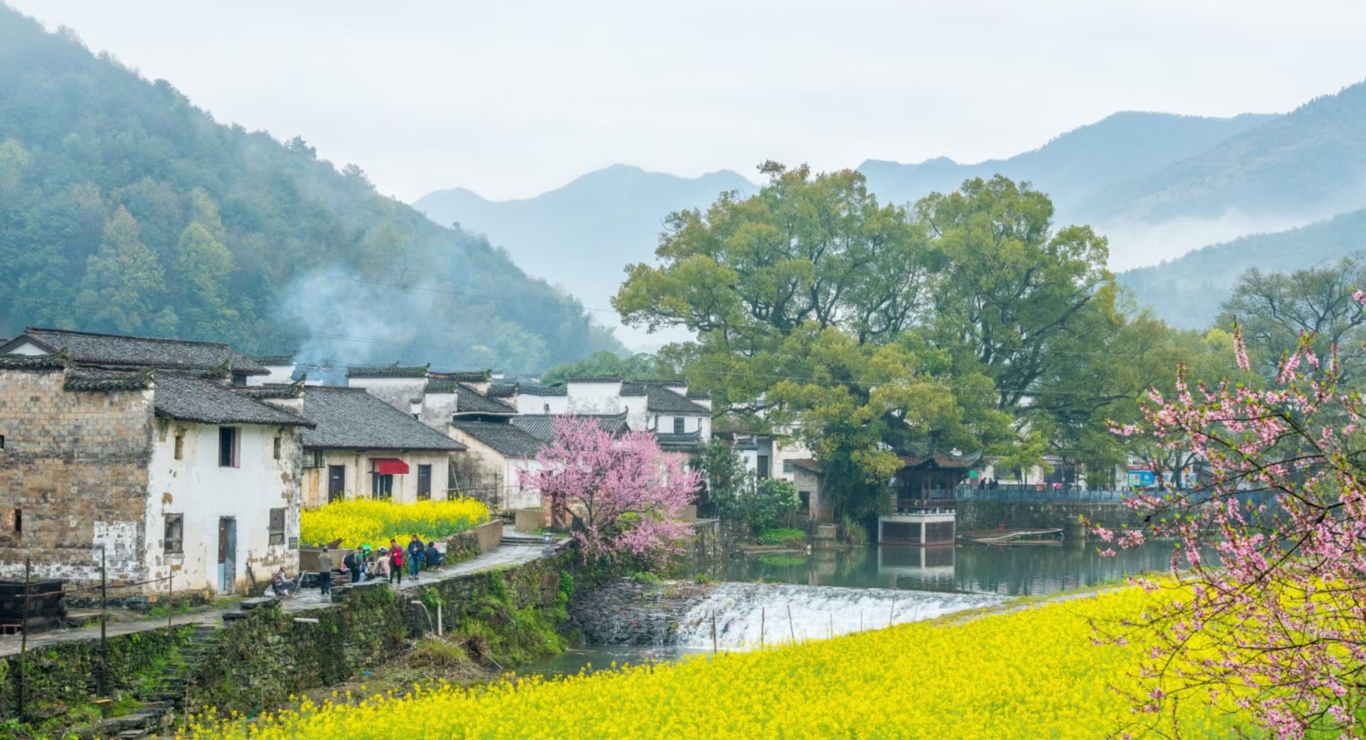 春天的婺源白墙黑瓦下的梨花和桃花竞相盛放好一幅田园春色