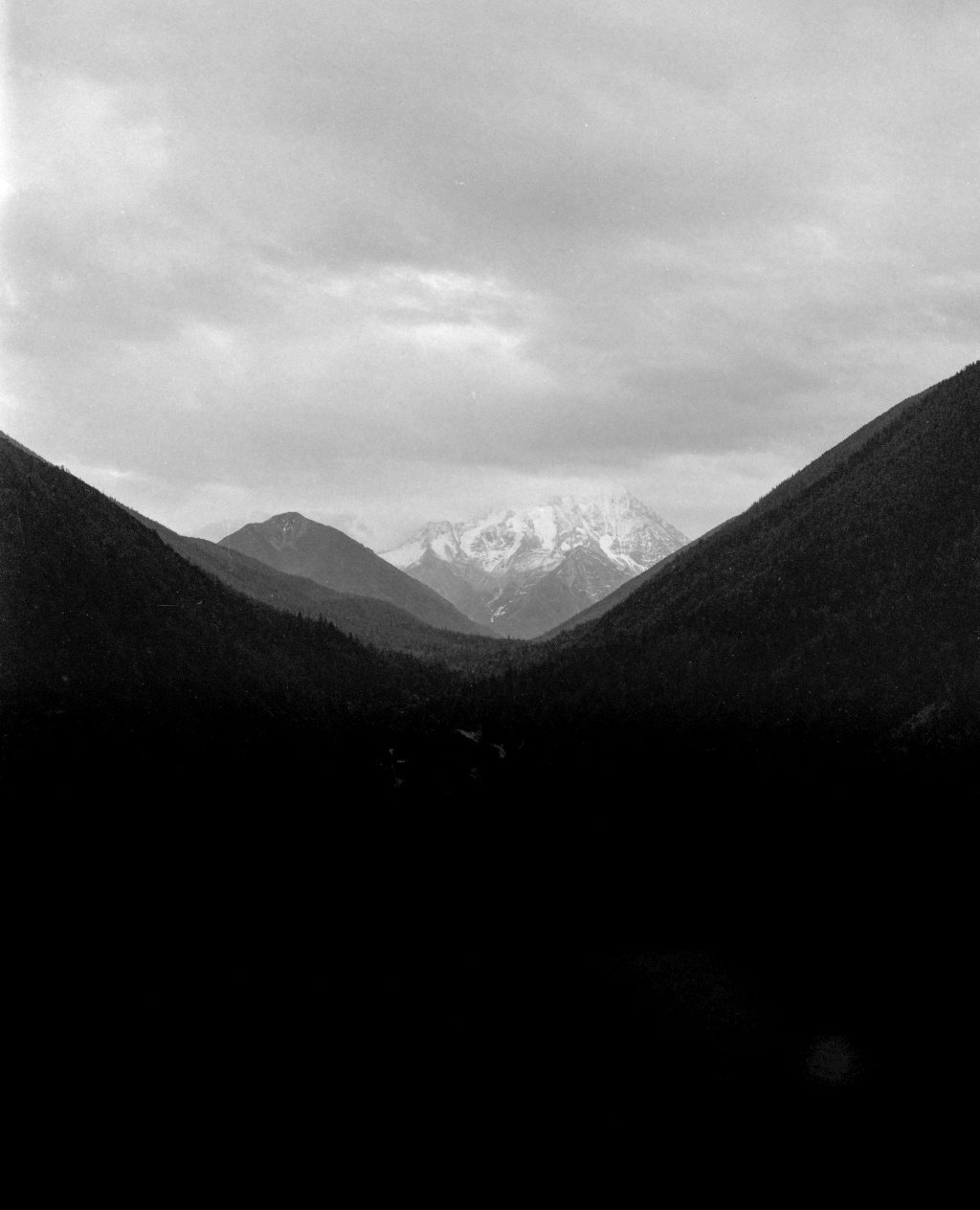 独行的底片kodakportra400fomapan400推荐