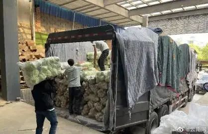 我们来啦！大白菜、牛奶……全国多地驰援上海，满满感动！休闲区蓝鸢梦想 - Www.slyday.coM