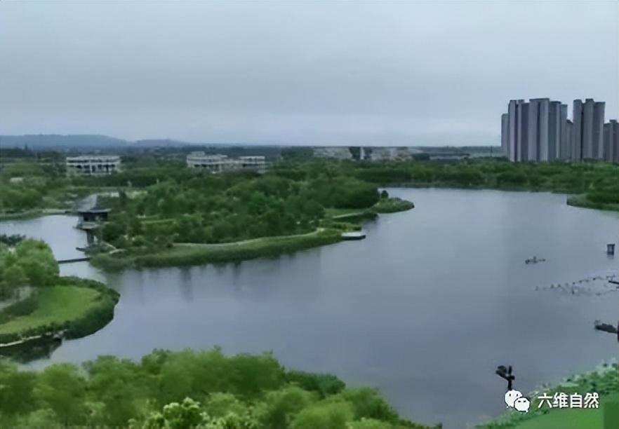 为捉一条外来怪鱼，汝州一公园排干湖水，因鳄雀鳝已吃掉大部分鱼休闲区蓝鸢梦想 - Www.slyday.coM