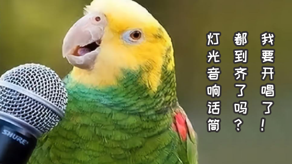 鹦鹉唱歌声音图片