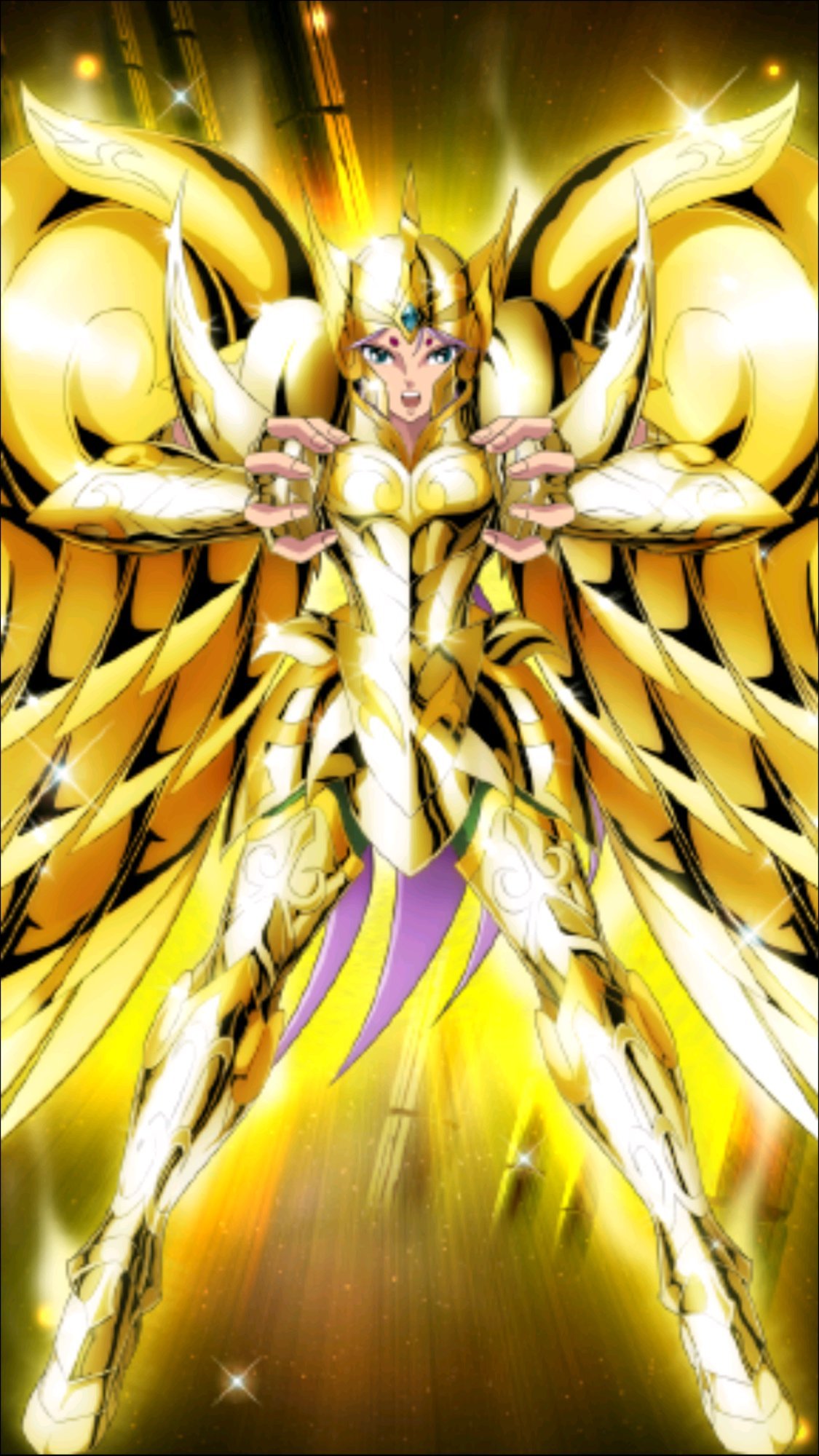 黄金魂 十四黄金神圣衣 黄金圣斗士